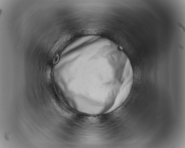 X0000103440166200809261802