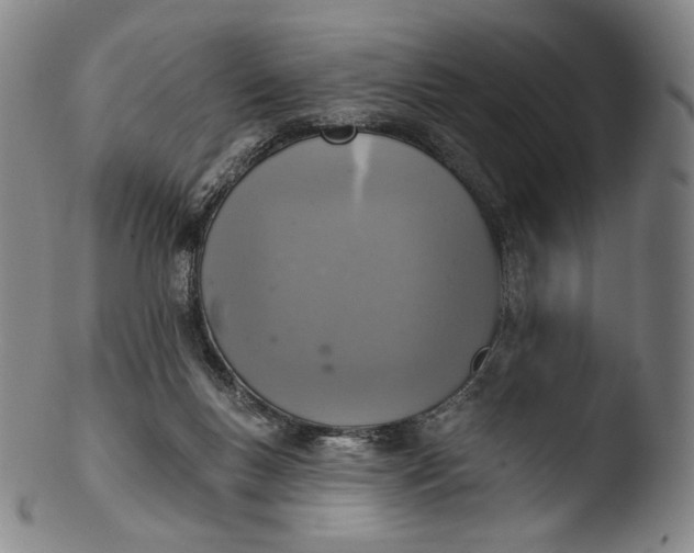 X0000103440167200809261802