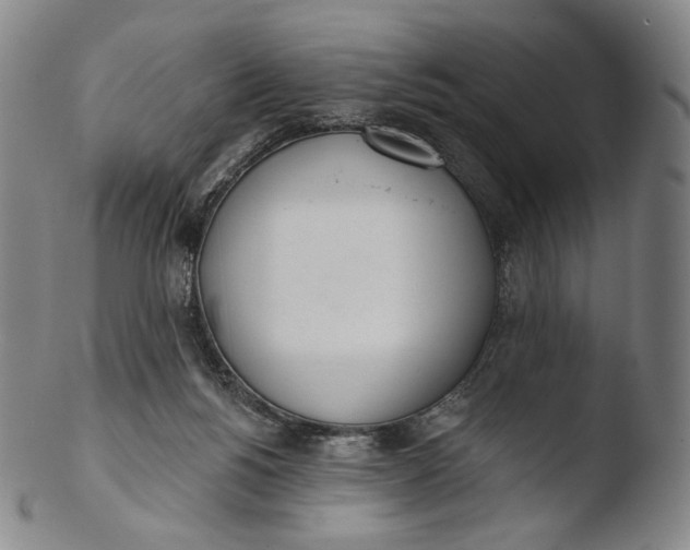 X0000103440168200809261802