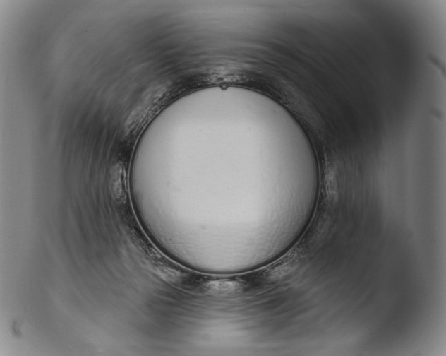 X0000103440169200809261802