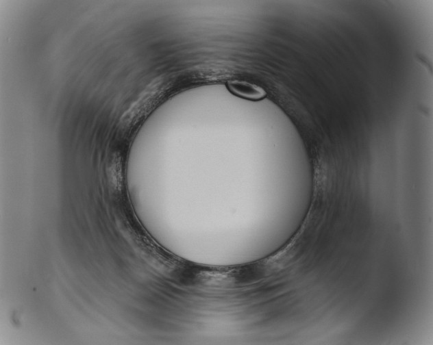 X0000103440170200809261802