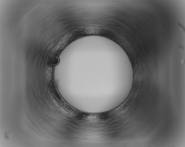 X0000103440171200809261802