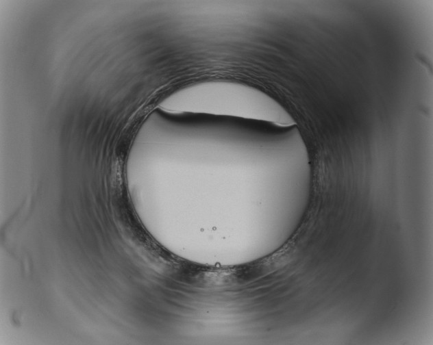 X0000103440172200809261802
