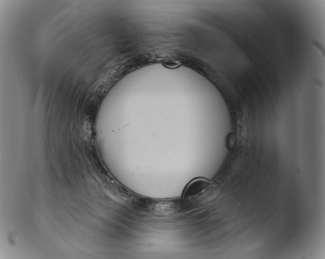 X0000103440173200809261802