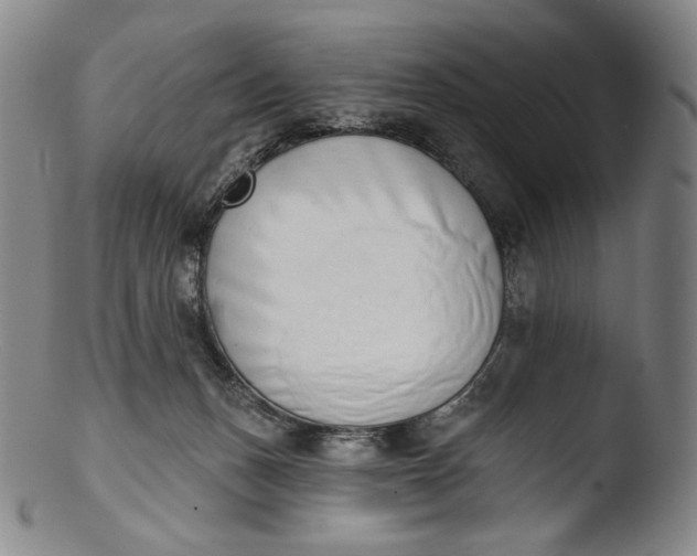 X0000103440175200809261802