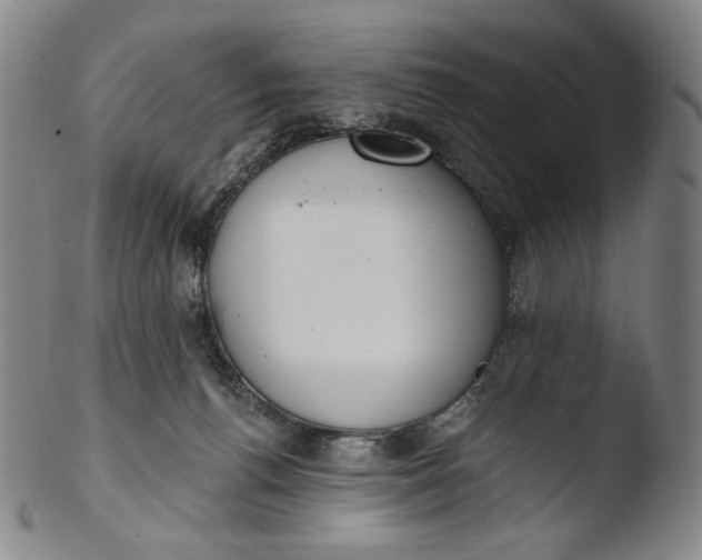 X0000103440176200809261802