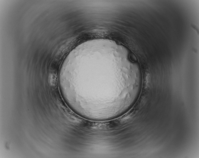 X0000103440177200809261802