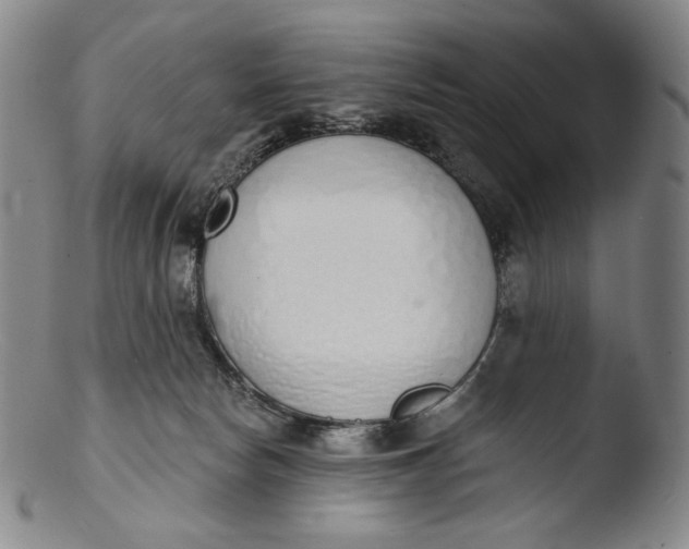 X0000103440178200809261802