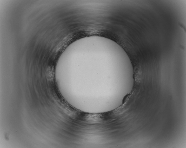 X0000103440179200809261802