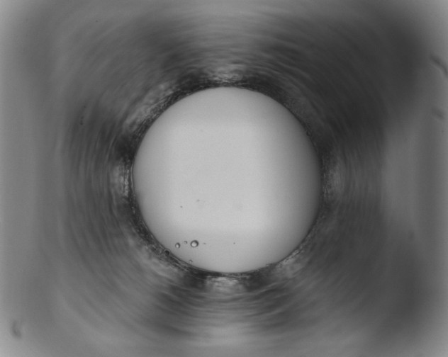 X0000103440180200809261802