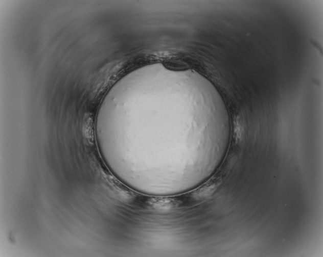 X0000103440181200809261802