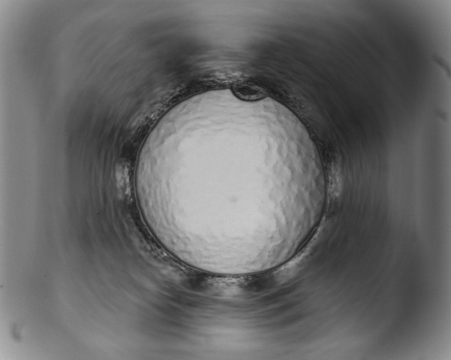 X0000103440182200809261802