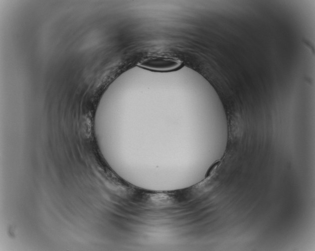 X0000103440183200809261802