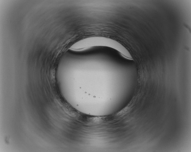 X0000103440184200809261802