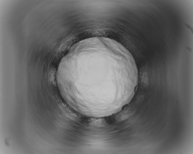 X0000103440185200809261802