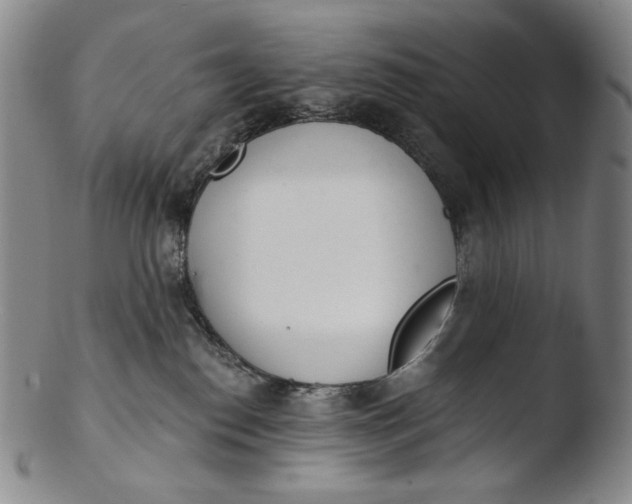 X0000103440186200809261802