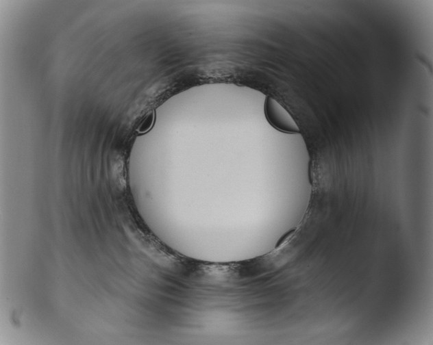 X0000103440187200809261802