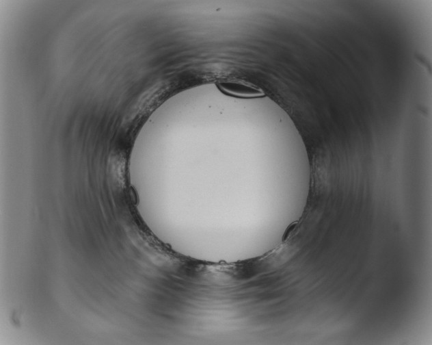 X0000103440188200809261802