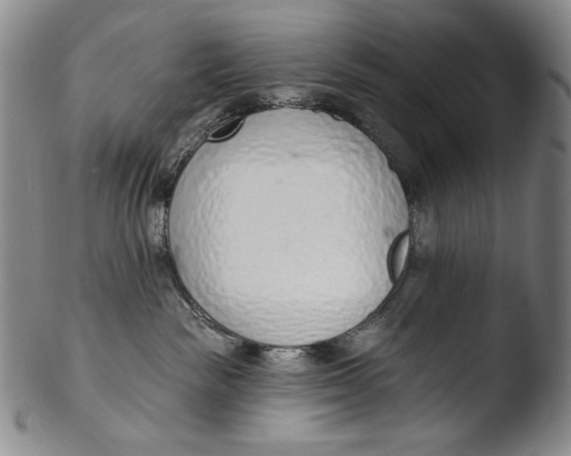 X0000103440189200809261802