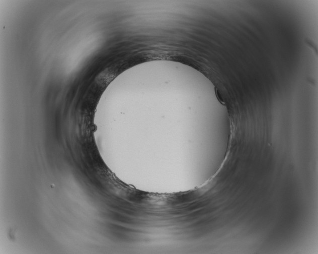 X0000103440190200809261802