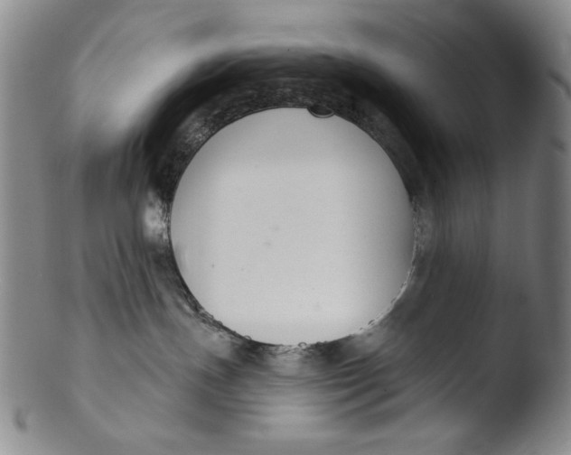 X0000103440191200809261802