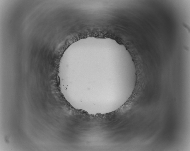 X0000103440192200809261802