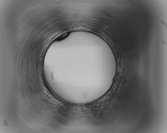 X0000103440193200809261802