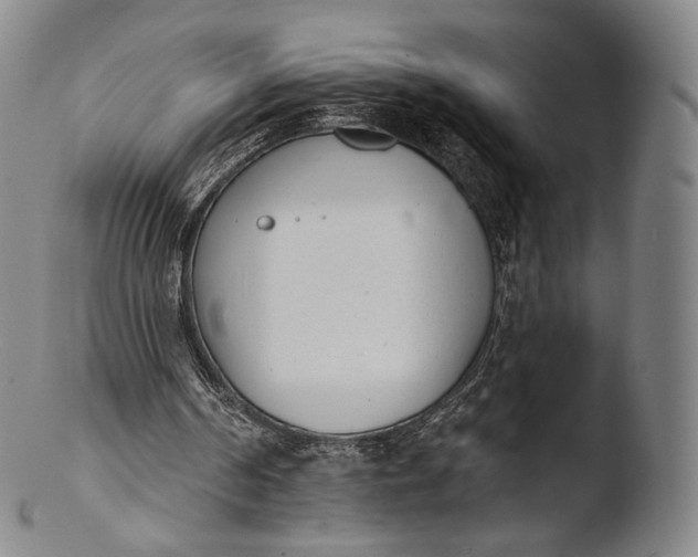 X0000103440194200809261801