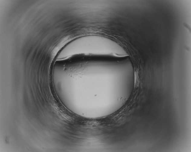 X0000103440195200809261801