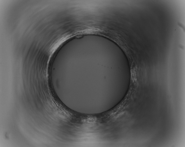 X0000103440196200809261801