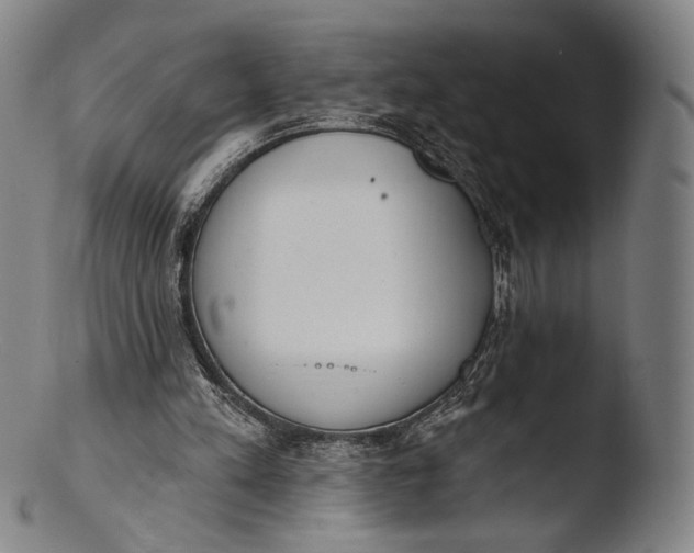 X0000103440197200809261801