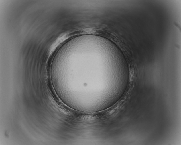 X0000103440198200809261801