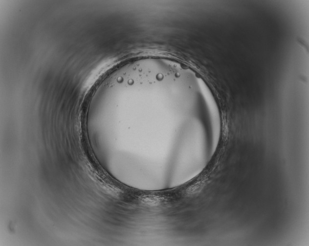 X0000103440199200809261801