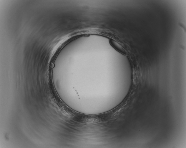 X0000103440200200809261801