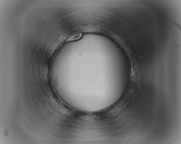 X0000103440201200809261801
