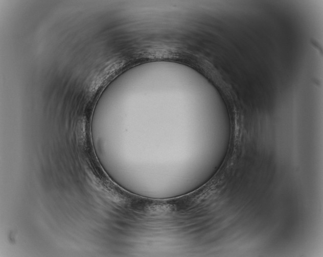 X0000103440202200809261801