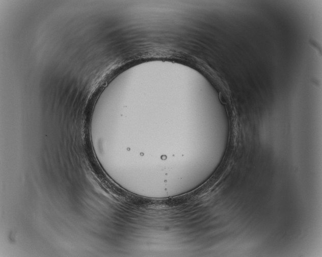 X0000103440203200809261801