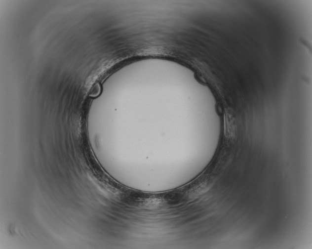 X0000103440204200809261801