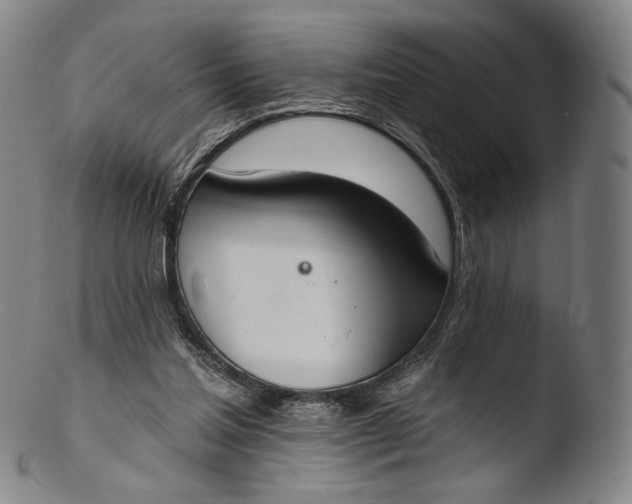 X0000103440205200809261801