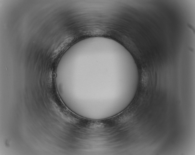 X0000103440206200809261801