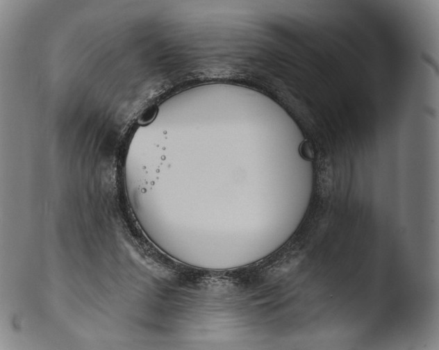 X0000103440207200809261801