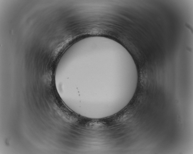 X0000103440208200809261801