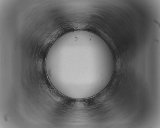 X0000103440209200809261801