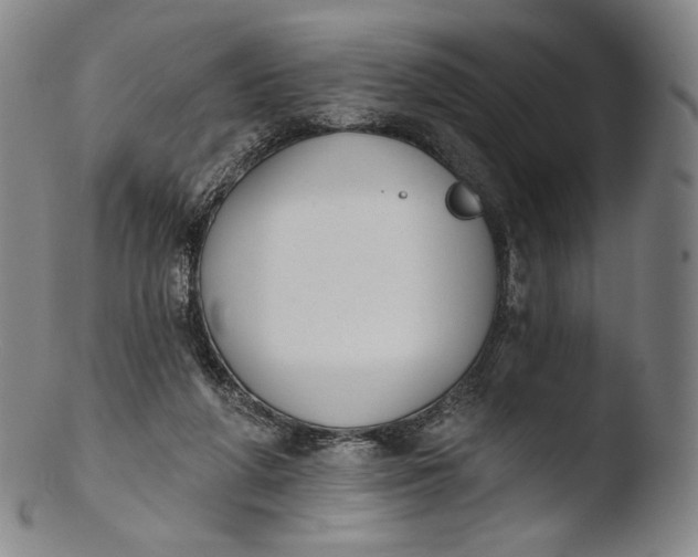 X0000103440210200809261801