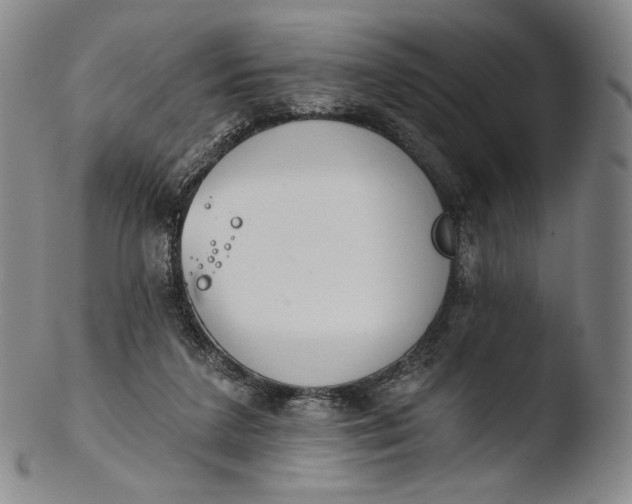 X0000103440211200809261801