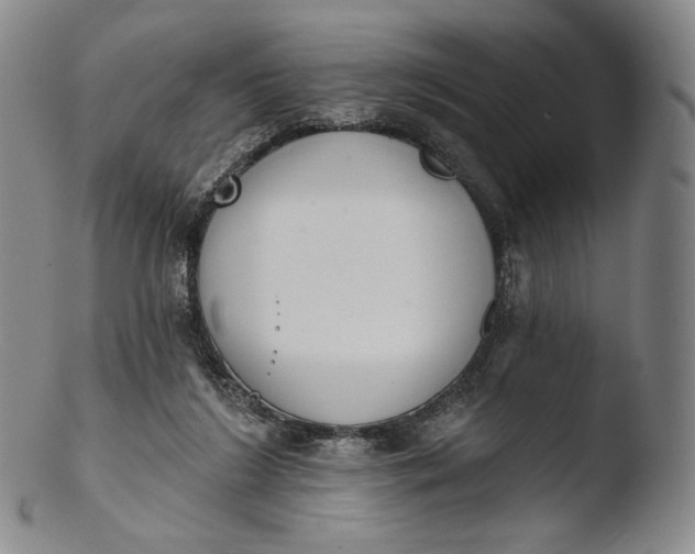 X0000103440212200809261801