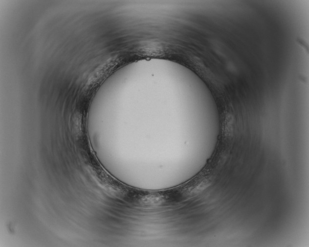X0000103440213200809261801