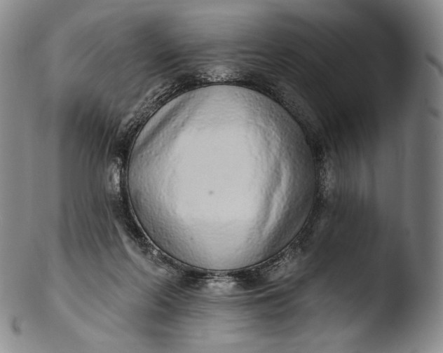 X0000103440214200809261801