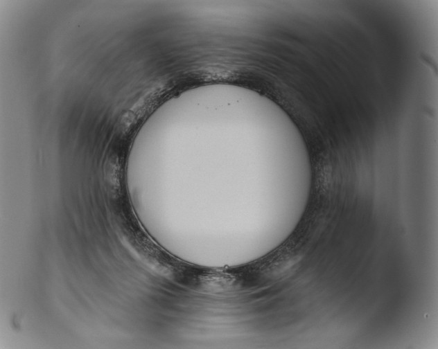 X0000103440215200809261801