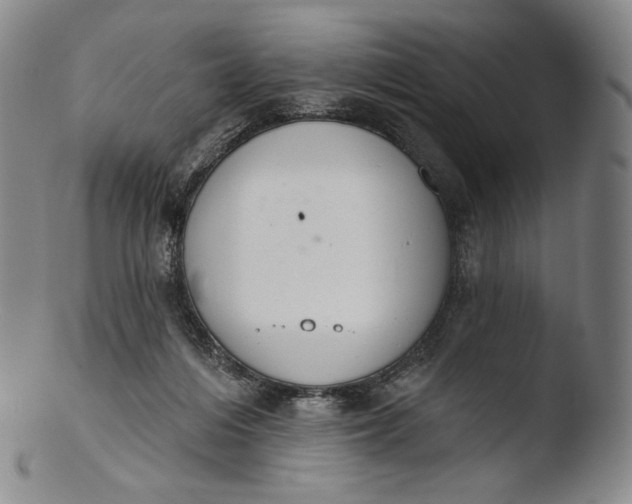 X0000103440216200809261801